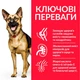 Сухий корм Hill’s SP Mature Adult 6+ Large Breed для зрілих собак великих порід від 6 років з куркою 14 кг - изображение 2