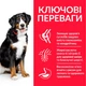 Сухий корм Hill’s SP Adult Large Breed для дорослих собак великих порід з ягням і рисом 14 кг - изображение 2