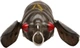 Воблер Savage Gear 3D Cicada F 33 мм 3.5 г Black (18541162) - изображение 2