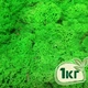 Стабилизированный мох ягель Nordic moss Зеленый травяной светлый 1 кг - изображение 1