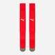 Гетри чоловічі Puma Team Liga Socks Core 70344121 37 (4) 23 см Chili Pepper-White (4059504600731) - зображення 1