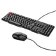 Проводная клавиатура с мышью HOCO Business keyboard and mouse set GM16 RU/ENG раскладка Black - изображение 1