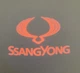 Логотип підсвічування дверей Санг Йонг Lazer door logo SSANG YONG - зображення 3