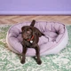 Лежак Harley and Cho Donut XL 110 x 80 см Pink (3102867HC) - изображение 4