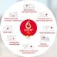 Автономная сфера порошкового пожаротушения LogicPower Fire Stop S9.0M - изображение 6