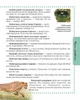 Енциклопедія для допитливих Тварини 17х22,5см 96стор (укр) арт.0264 - зображення 2