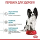 Сухий корм для цуценят Royal Canin X-Small Puppy 0.8кг - изображение 3