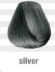 Краска для волос BBcos Color Tribe Silver 100 мл (8051566440658) - изображение 3