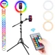 Кільцева кольорова лампа Ulanzi Vijim K15 CRI 95+ RGB 27 см на штативі 173см - изображение 1