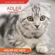 Машинка для стрижки тварин ADLER AD 2823 POLAND акумуляторна для стрижки котів та собак - зображення 7