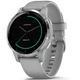 Смарт-часы Garmin vivoactive 4S, Powder Gray/Silver (010-02172-03) - изображение 1