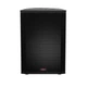 Активная акустическая система HH Electronics TNE-1501 - изображение 1