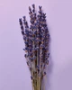 Спрей для тіла Victoria's Secret Lavender & Vanilla парфумований 250 мл (667557109558) - зображення 4