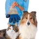 Рукавичка для зняття вовни з домашніх тварин PET BRUSH GLOVE Уневерсальная - зображення 5