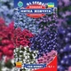 Семена Лобелия Нитка Жемчуга Florium (726674) - изображение 2