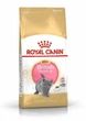 Сухий корм для кошенят Royal Canin British Shorthair Kitten, 2кг+ 400г - зображення 1