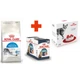Cухий корм для котів Royal Canin Indoor, 2 кг + 400 г - зображення 9