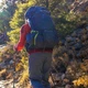 Туристический рюкзак Osprey Atmos AG 65 (S22) Mythical Green L/XL (009.2788) - изображение 16
