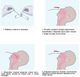 Швидкий тест на виявлення антигену до коронавірусу COVID-19 (мазок з носоглотки), Coretests® - зображення 2