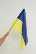 Прапор України Making 90х60см синьо-жовтий (нейлон) - изображение 2