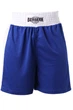 Шорти BERSERK SPORT Boxing L blue (FS1211BLU) - зображення 1