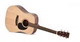 Акустическая гитара Ditson D-10 - изображение 2