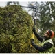 Кусторез DeWALT DCMPH566P1 - изображение 10
