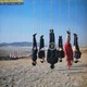 Музичний CD диск Alan Parsons Project - The Try Anything Once фірмовий - зображення 1