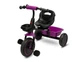 Детский трехколесный велосипед Caretero (Toyz) Loco Purple - изображение 1