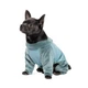 Комбінезон для собак Pet Fashion «COMFORT» XS-2 - изображение 2