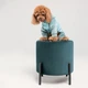Комбінезон для собак Pet Fashion «COMFORT» M - изображение 5