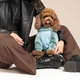 Комбінезон для собак Pet Fashion «COMFORT» M - изображение 6