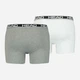 Набор трусов-боксеров мужских HEAD Basic Boxer 701202741-012 L 2 шт Серый/Светло-серый (8720245175098) - изображение 2