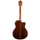 Електроакустична гітара Washburn AG70CE - зображення 2