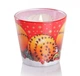 Свічка новорічна ароматизована у склі Bartek Candles Різдвяний апельсин з гвоздикою 130г. - зображення 2