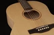 Акустическая гитара с подключением Simon&Patrick 039715 Trek Nat Solid Spruce SG EQ - изображение 4