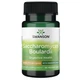 Сахароміцети Буларді Swanson Sacharomyces Boulardii 30 Veg Caps - зображення 1