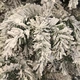 Сосна 0,60 м. Dinsmore Frosted зелена зі снігом - зображення 2