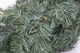 Гірлянда Black Box Trees Norton 180 см Зелена (8718861152692) - зображення 5