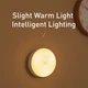 Лампа нічник з датчиком руху BASEUS Light garden Nightlight Warm light (0,2 W, 150 днів, тепле світло) - зображення 8