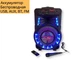 Аккумуляторная акустическая система XPRO SS-7373 колонка чемодан 100Вт USB, SD, FM радио, Bluetooth, микрофон, ДУ (SS-7373) - изображение 2