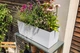 Вазон Lechuza Balconera Stone 50 Кварцовый белый (15657) - изображение 4