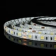Светодиодная лента OEM ST-12-5050-60-CW-65-V2 белая, герметичная, 1м - изображение 2