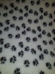 Килимок Jackson Textiles Small Paws white 160х100 см (JT-001-1) - зображення 11