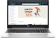 Ноутбук HP ProBook 455 G7 (1L3H0EA) Pike Silver - изображение 1