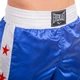 Спортивные штаны для кикбоксинга бокса единоборств Everlast Полиэстер Синий (9016) L - изображение 2