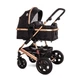 Детская коляска Lorelli Lora set Luxe Black - изображение 1