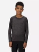 Детская футболка с длинным рукавом для мальчика Regatta Junior Burlow RKT138-864 122-128 см Темно-серая (5059404910533) - изображение 5