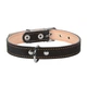 Нашийник для собак CoLLaR подвійний (ширина 20мм, довжина 32-40см) чорний - зображення 2