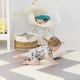 Игровой коврик-пазл Skip Hop Playspot Geo Grey/Cream (245411) (816523024504) - изображение 3